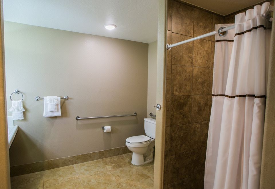 尊贵两卧室套房