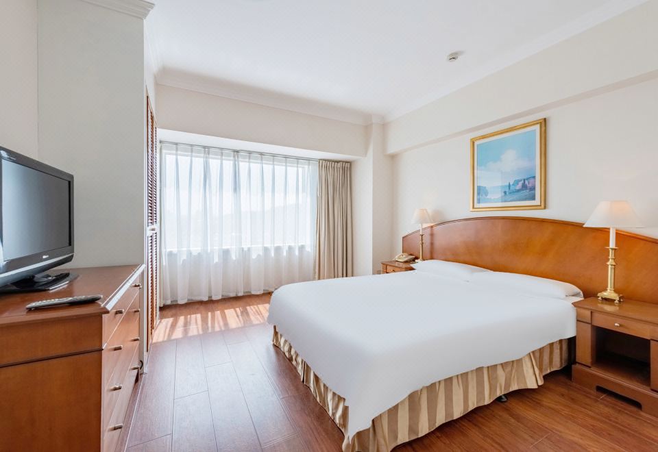 一室豪华家庭公寓