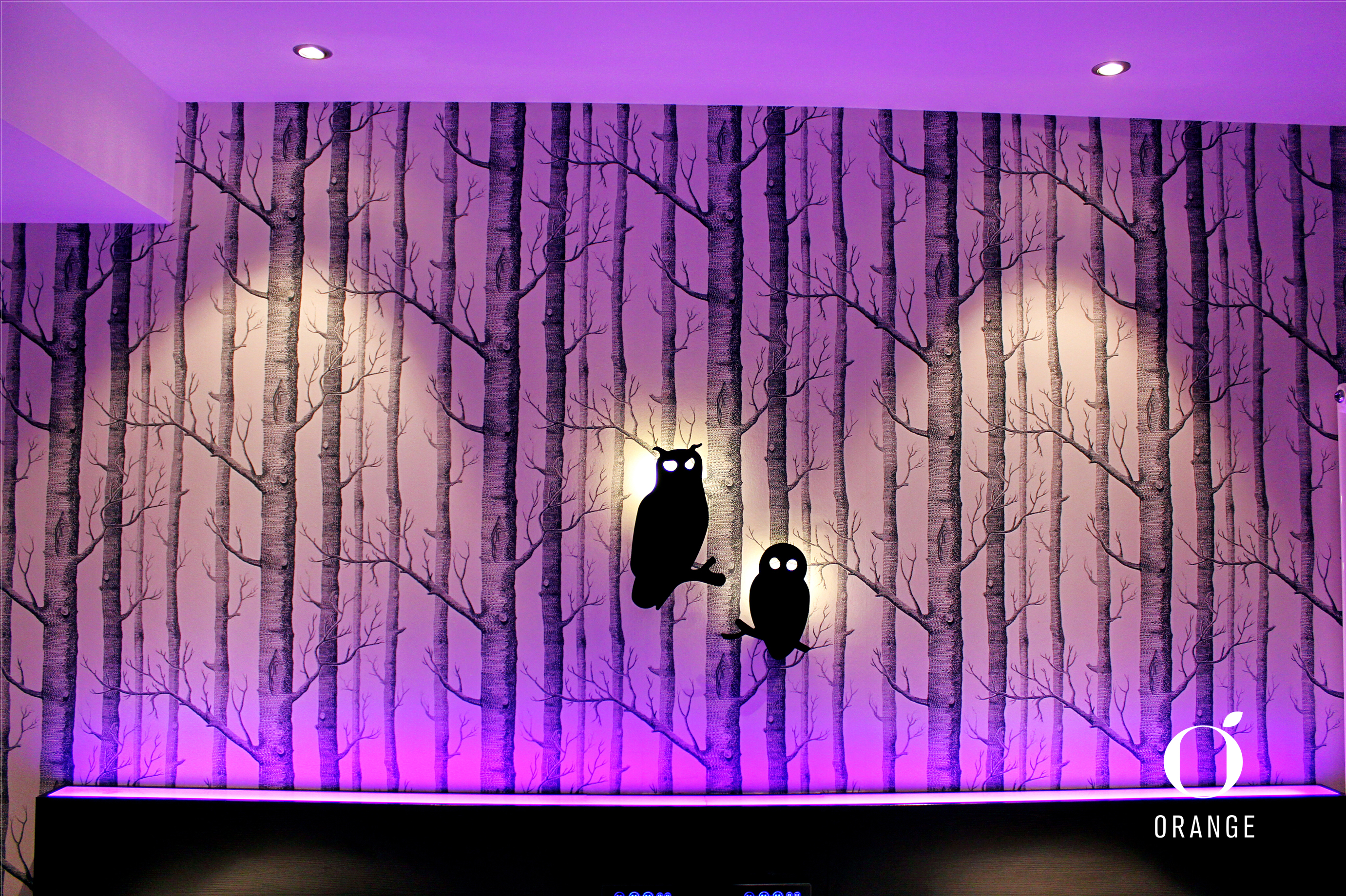 商务双床房（小冰箱）