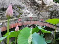 Yangshuo Mengyuan Shanju Hotel (Xingping Ancient Town Branch) Hoteles en 