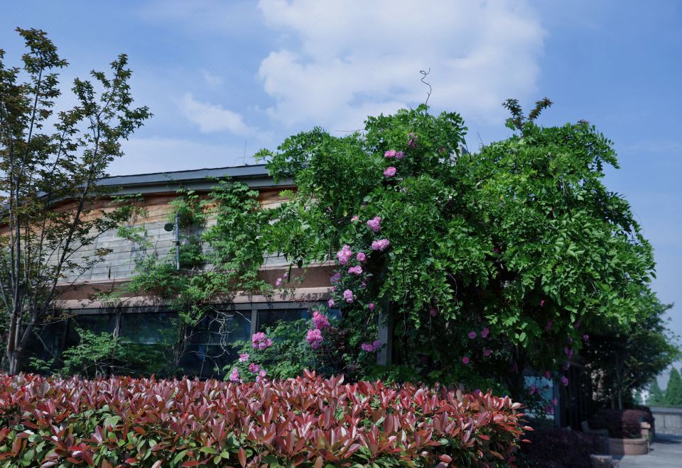 花園行政雙臥套房+2室1廳3衞+戶外露臺+宜人山色