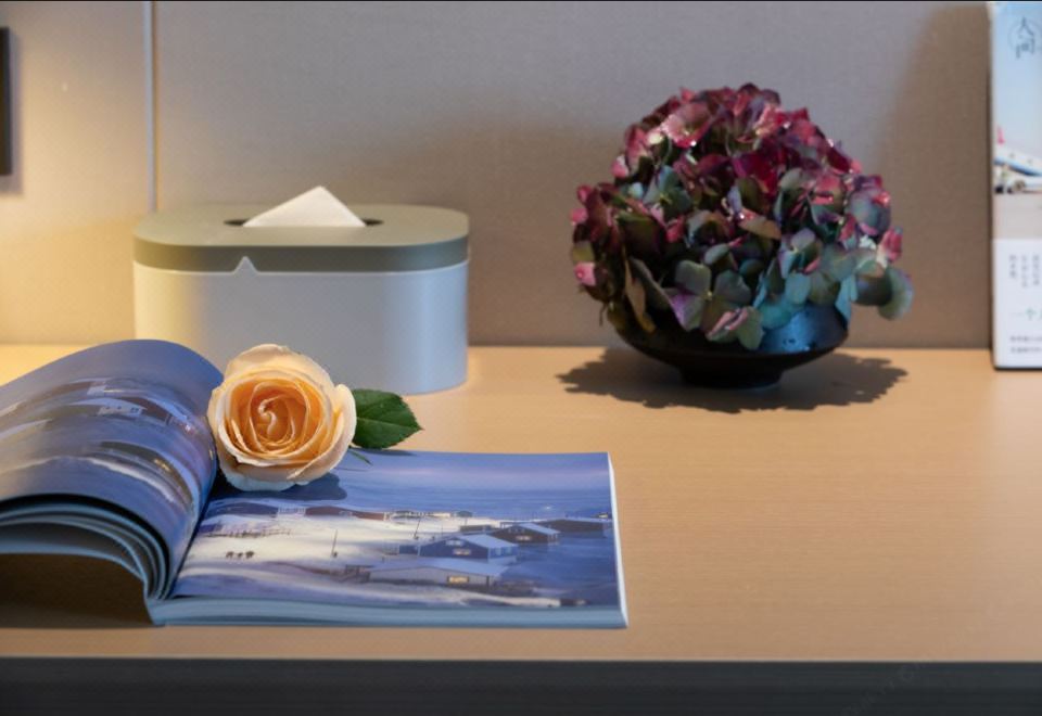 高級大床房—人氣熱搜