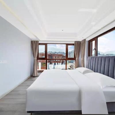 複式四居輕質套房 銀座佳驛輕居（峨眉山店）優惠