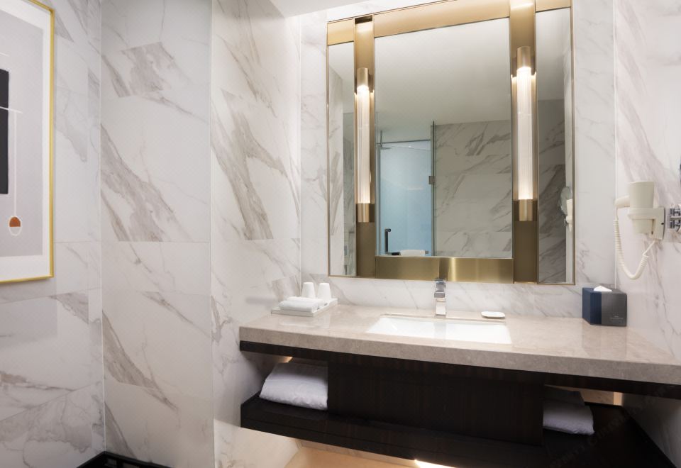 高级商务大床房（智能坐便器）