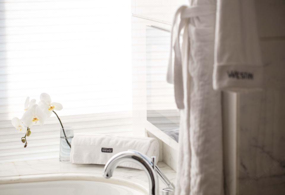 高空全湖景日出·客卧分离式套房·坐拥玄武湖全景