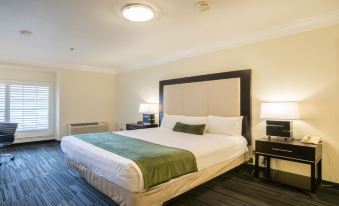 Arena Hotel - Housity