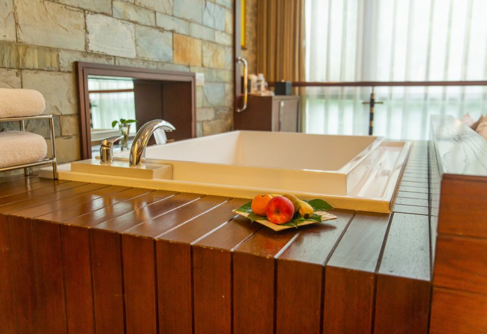 雅致山景大床房