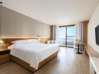 Vienna International Hotel (Baoting Center) فنادق في باوتينغ