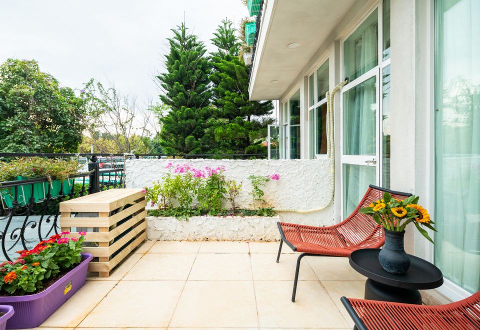 夢境·星空大床房（花園露臺丨梵高星空頂）