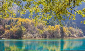 Conrad Jiuzhaigou