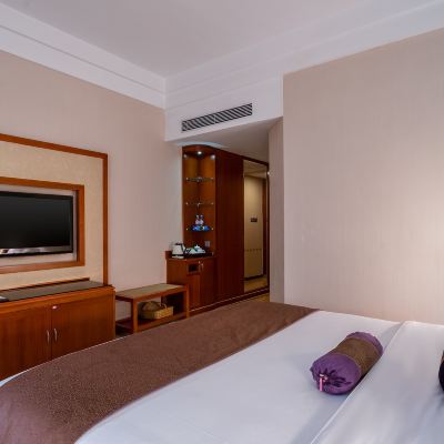 豪華單人房 東莞常平逸豪國際大酒店優惠