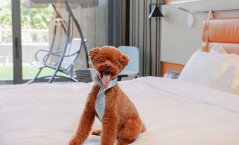 A small dog sitting on top of a surface is looking out the window at another white stuffed animal at WM HOTEL HONG KONG, Vignette Collection