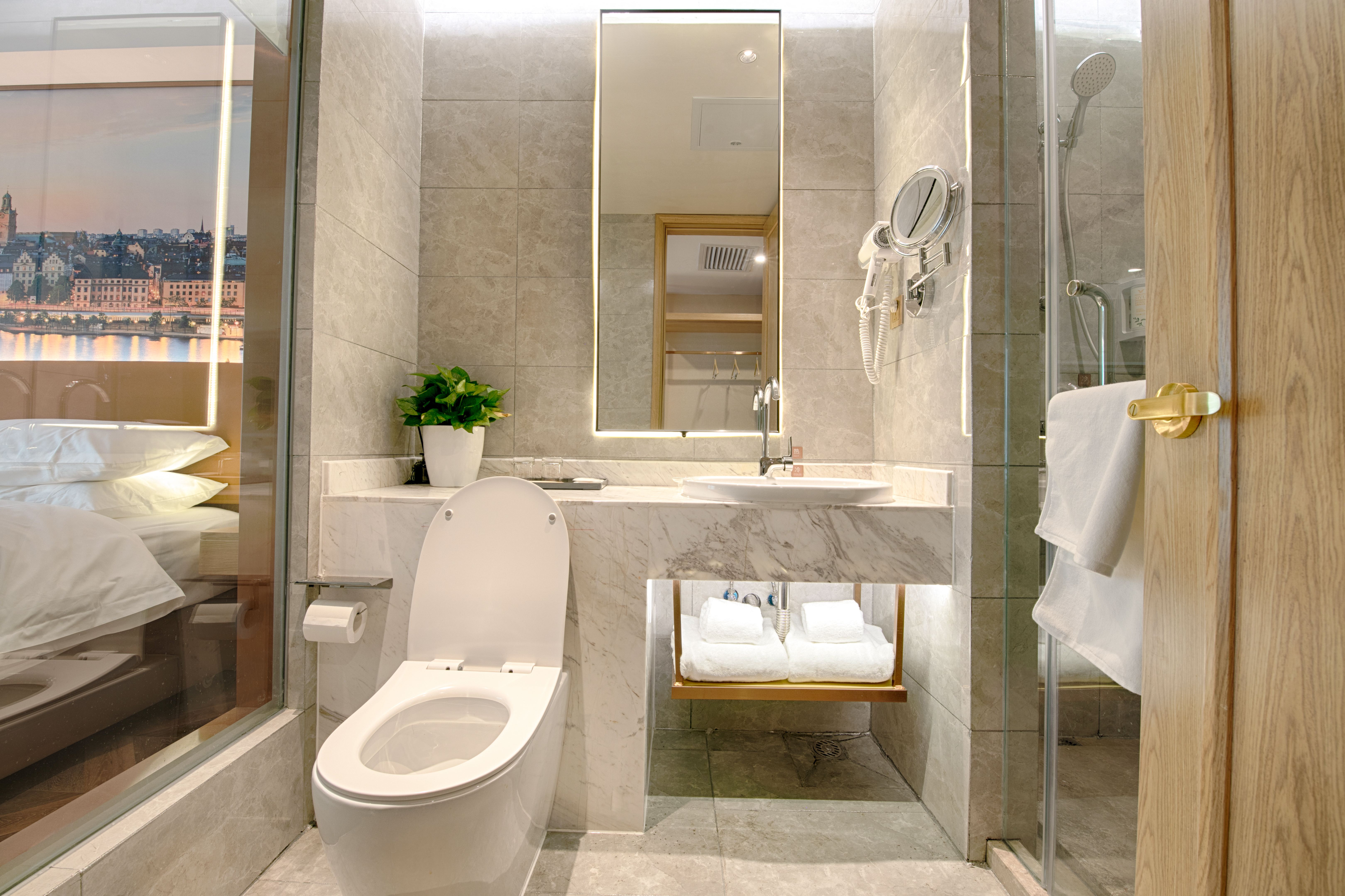 豪华双床房【手机投屏+深睡床品+落地窗】