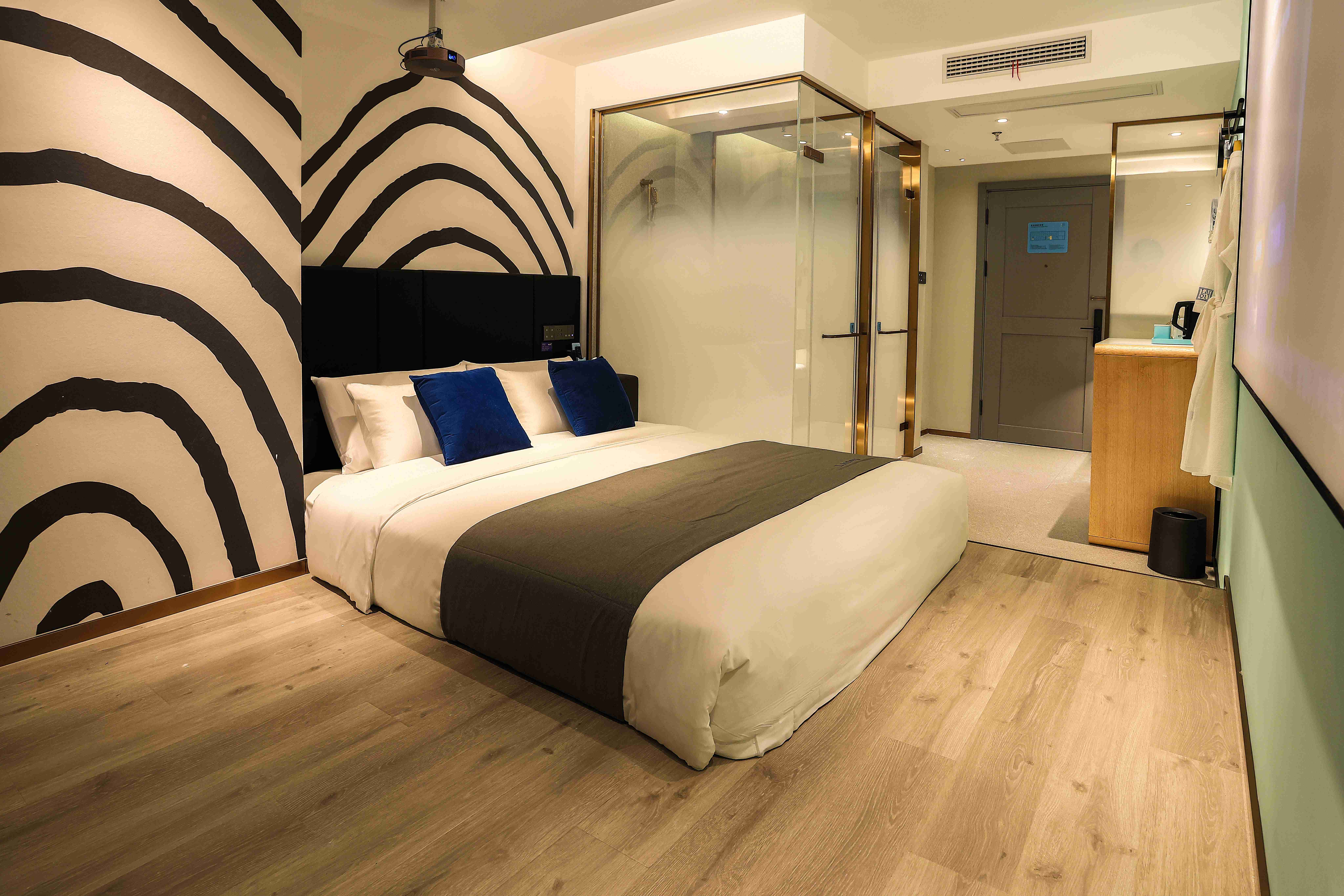 影音巨幕房（全屋智能语音控制+幕布投影）