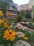A Guest House