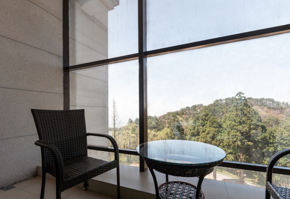 豪华阳台双床房