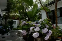 Peking  Yard Siheyuan Boutique Hotel(Garden&Terrace &Lama Temple&hutong&Houhai&Tiananmen&Restaurant Ξενοδοχεία στην πόλη 