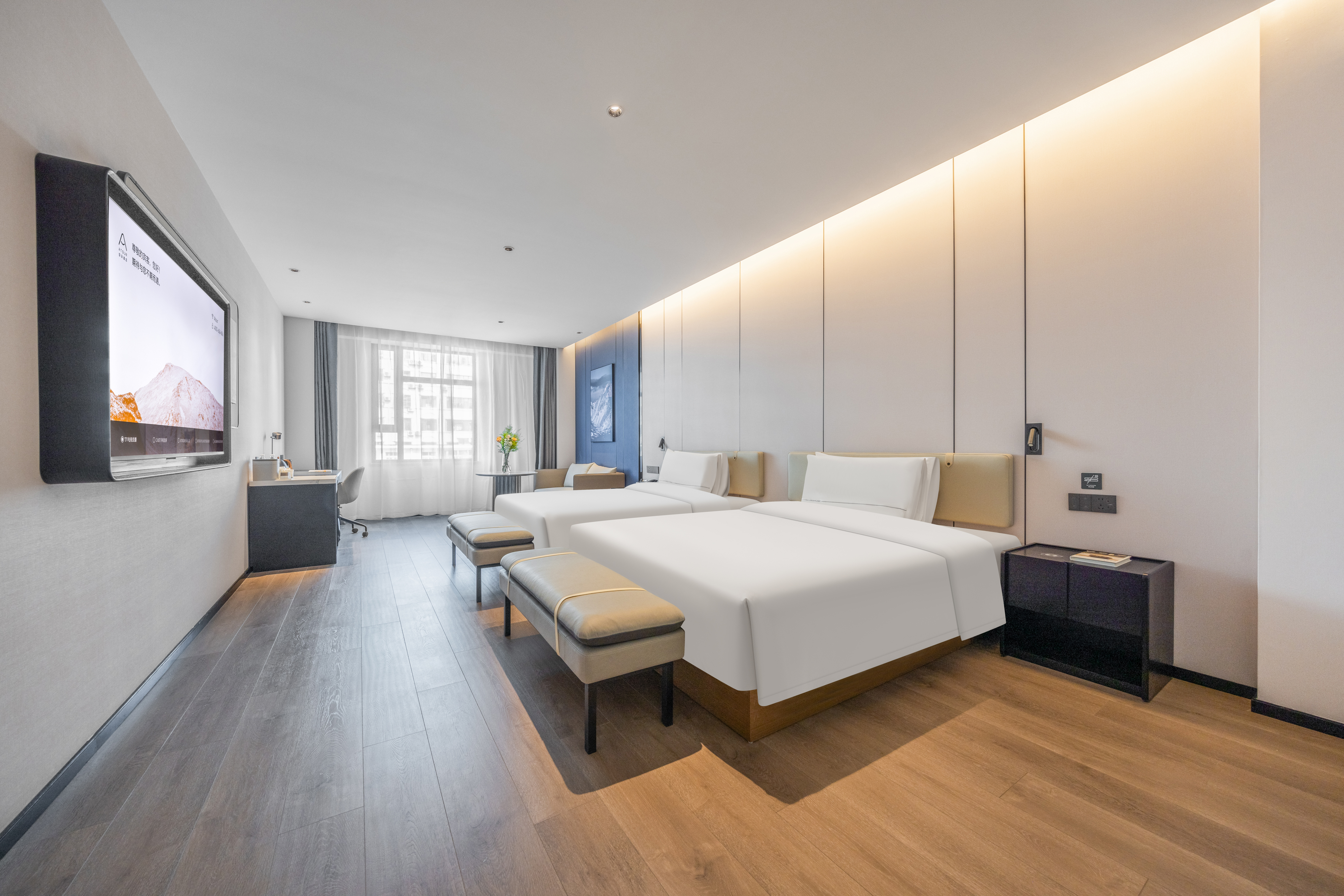 高级双床房（电视投屏+小冰箱+语音客控）