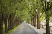 Shuishi Forest Hot Spring Resort Hotels in 