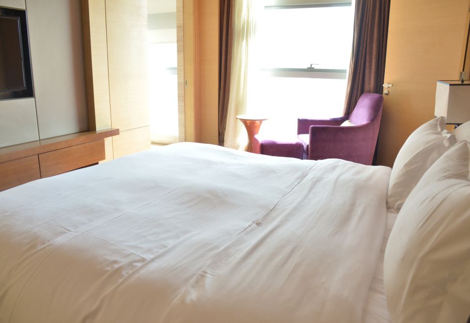 公寓樓一室一廳商務套房