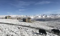 Lungta Farm