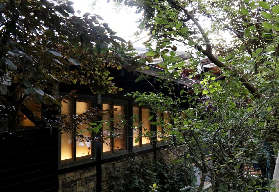 伴山居两卧温泉别墅