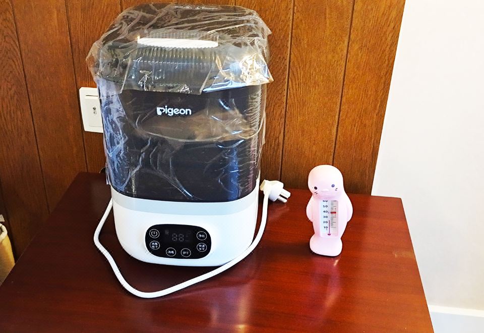 智利贝亲大床房