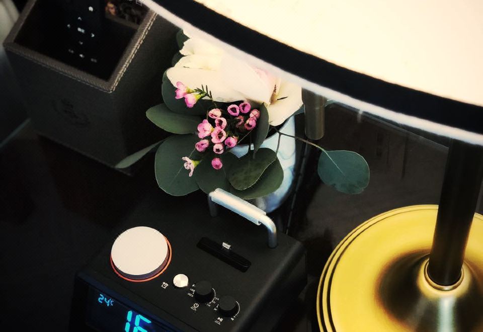 經典單人客房·洛可可光影