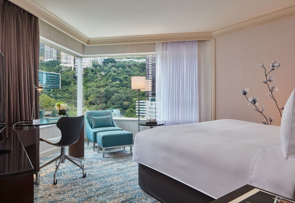 行政城市景观特大床客房