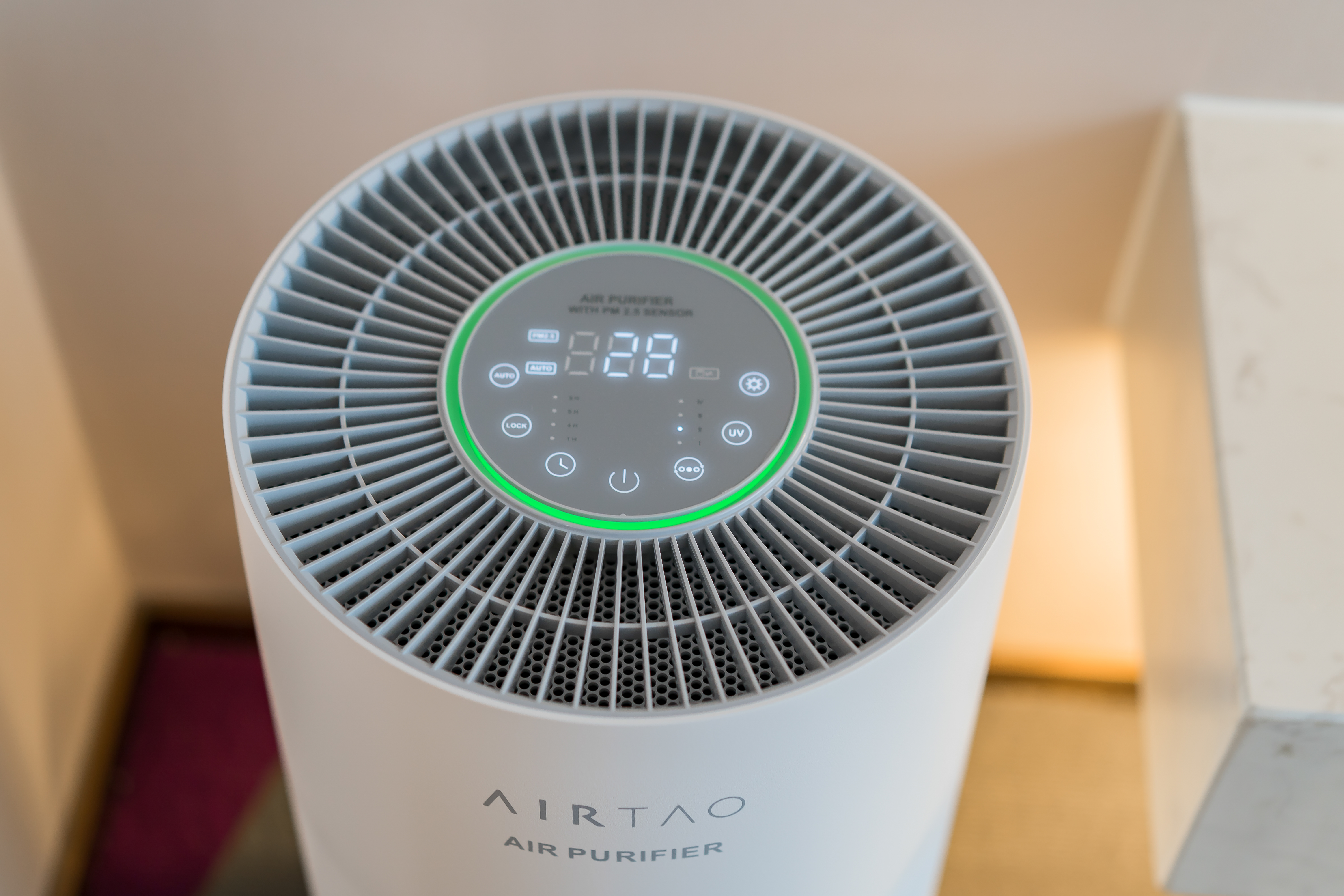 纯净自然大床房（空气净化器）