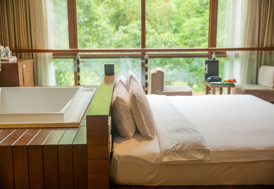 雅致山景大床房