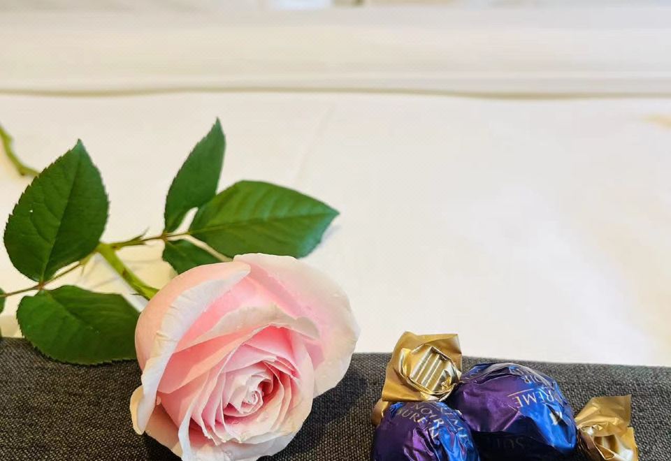 暗香居大床房·新中式风温暖雅居+投屏电视