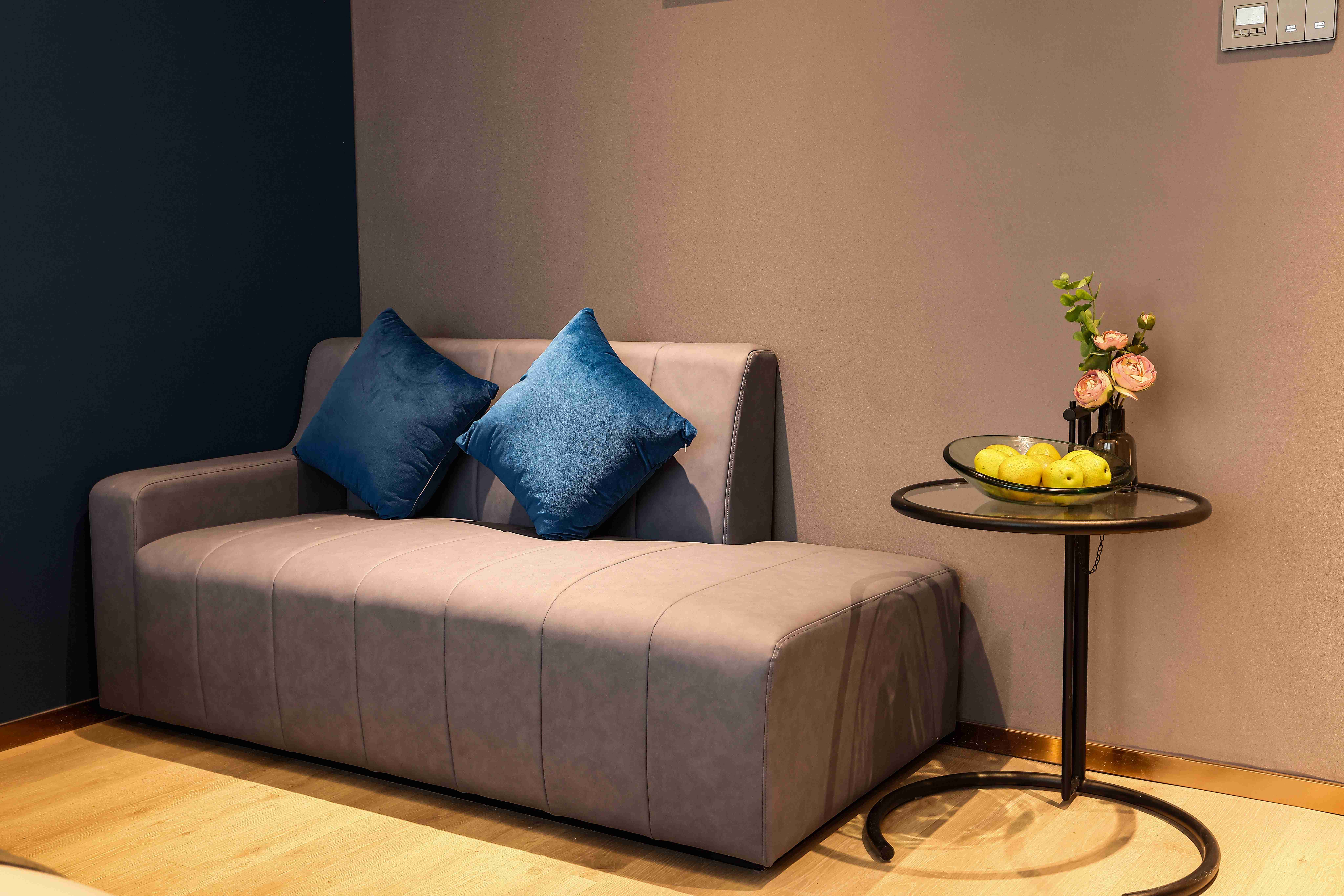 兰大师设计套房（全屋智能语音+小冰箱+独立卧室客厅）