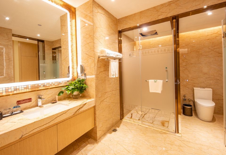 酒店B栋温泉大床房I独立泡池