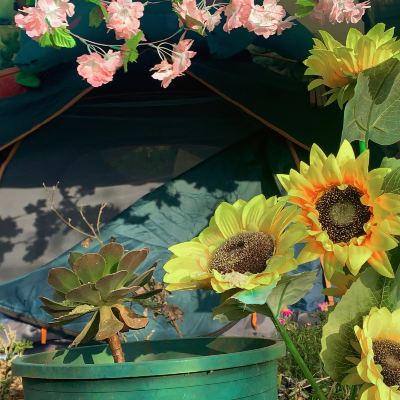 浪漫雙人帳篷房 知魚青年旅舍（麗江古城店）優惠