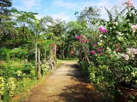 The Cinnamon & SaphanSufan Resort Kohmak