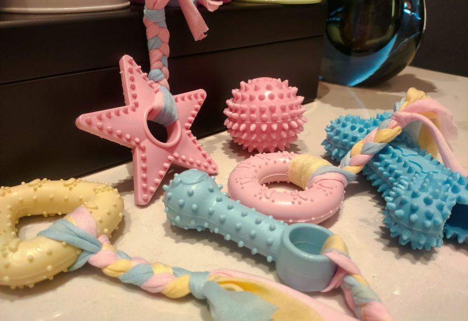 柏薇單臥萌寵房|主題布置