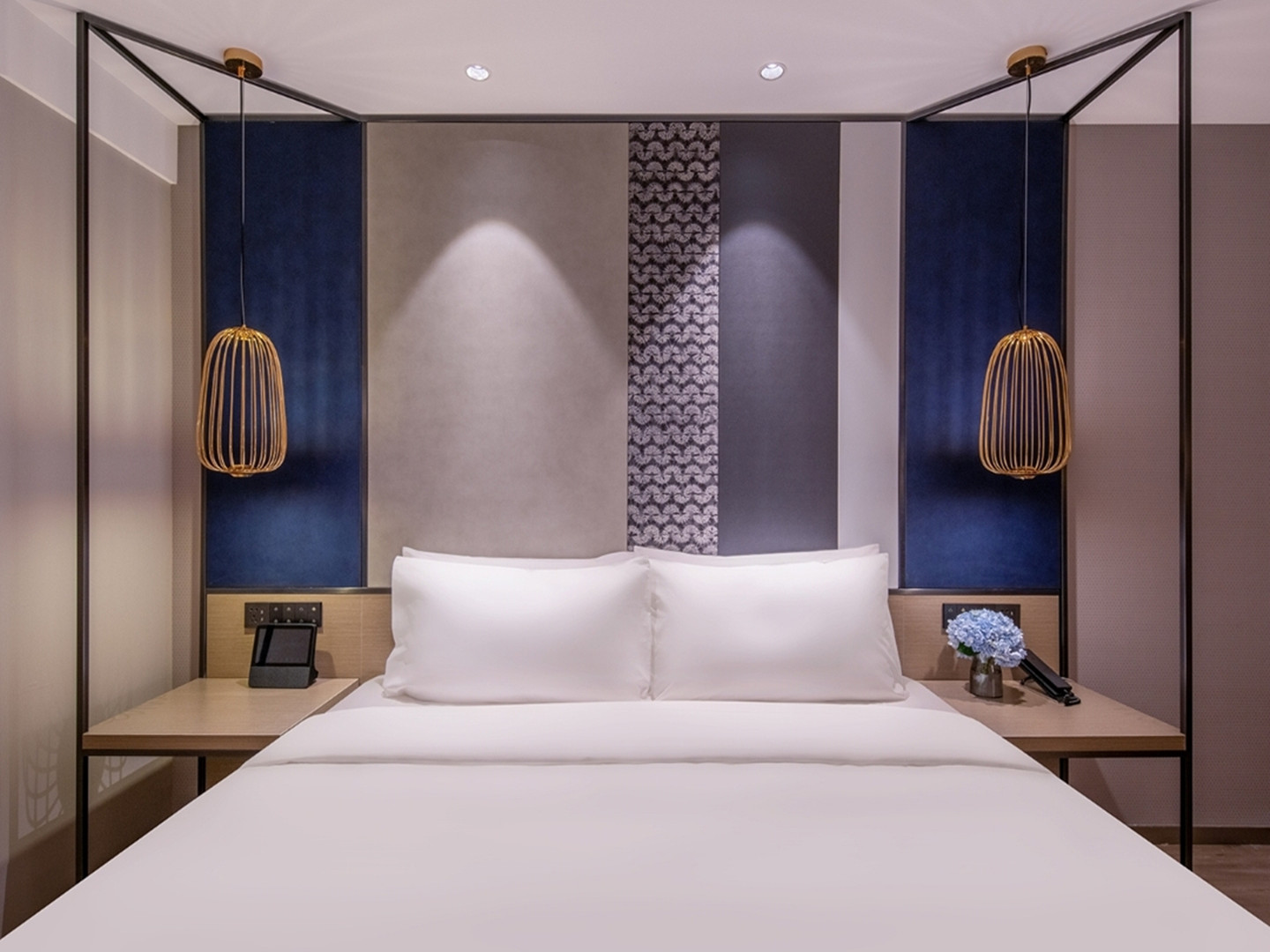 民族风情（智能客控+电视投屏+小冰箱）