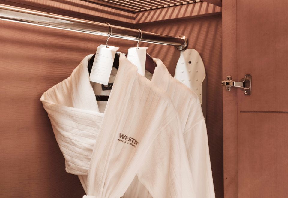 尊享更高楼层湖景大床房·享玄武湖紫金山美景