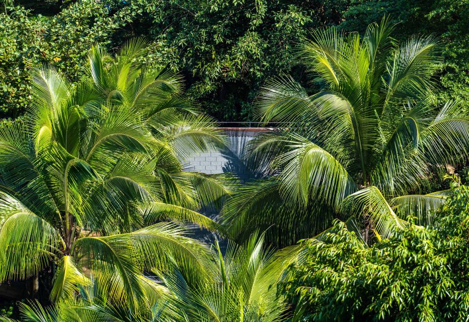 尊贵海景房丨观琼州海峡·浪涌云舒