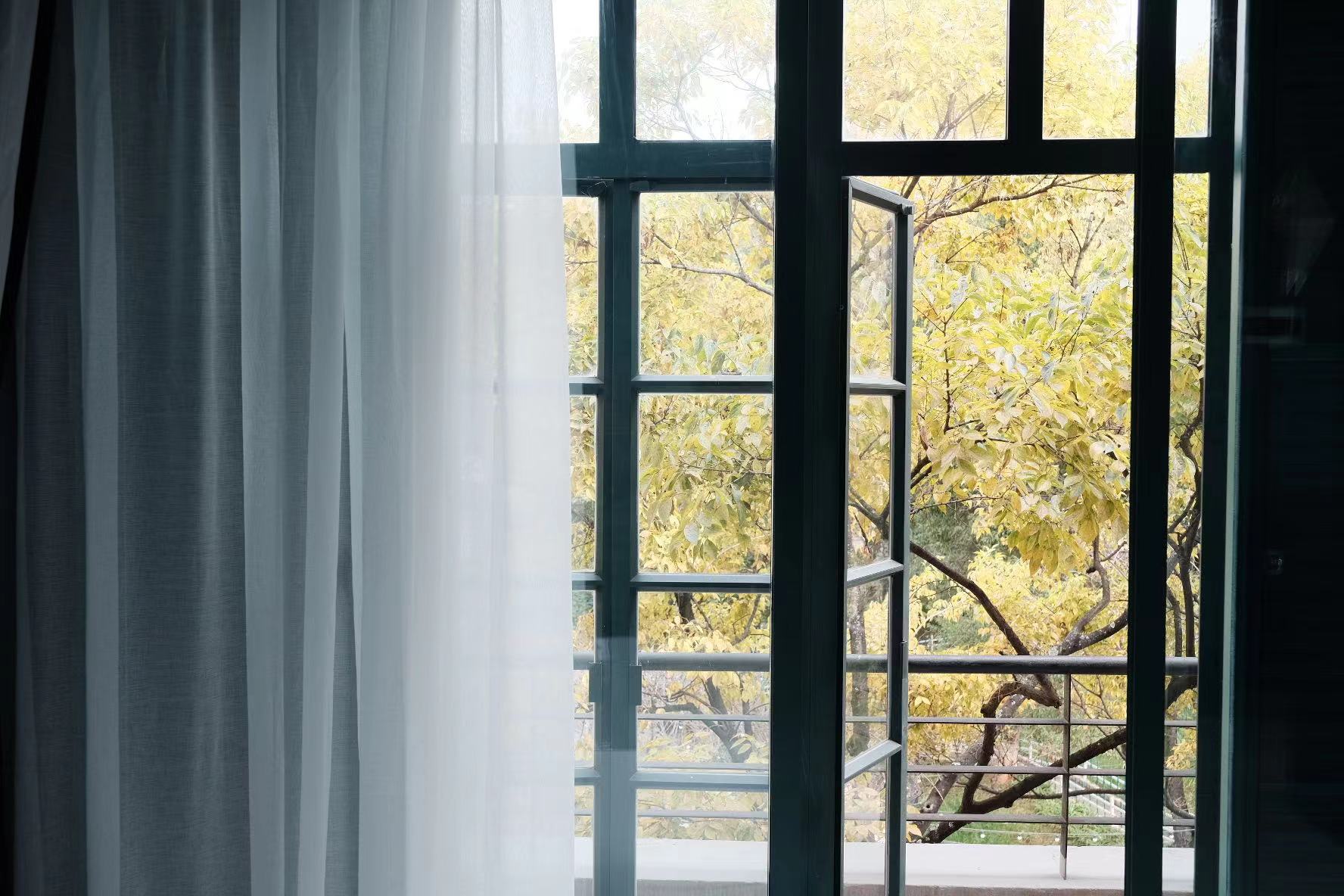 傣族|奢享270°全景浴缸阳台大床房