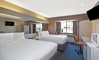 Microtel Inn & Suites by Wyndham Houston