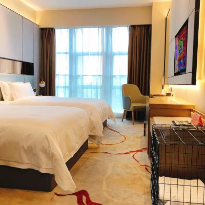 萌寵雙床房 清遠遠光雅閣飯店（清新古龍峽店）優惠