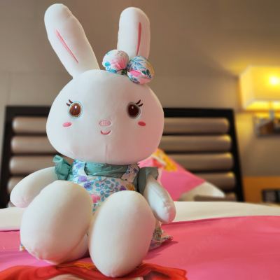 親子主題雙床房 瑞能CEO國際飯店（合肥南站寧國路美食街店）優惠