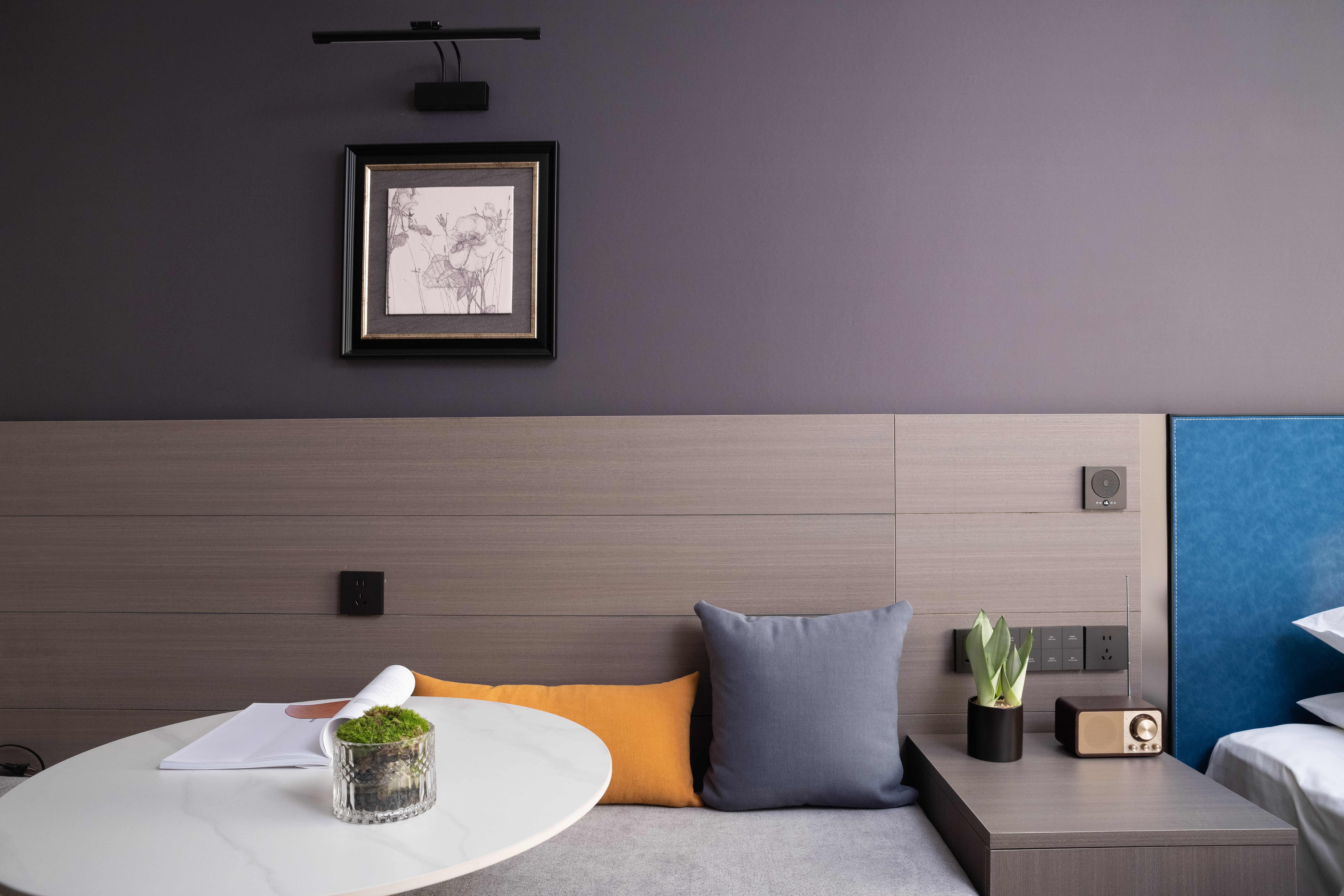 礼白望城阁（高清投屏电视+小冰箱+小型盆景+乳胶枕）