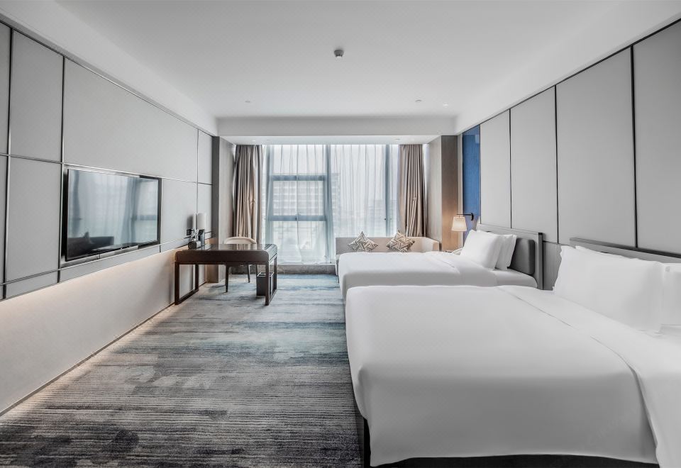 豪华双床房（智能客控+蓝牙音响）