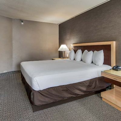 Junior Suite-Non-Smoking Plaza Hotel and Casino - Las Vegas Promo Code