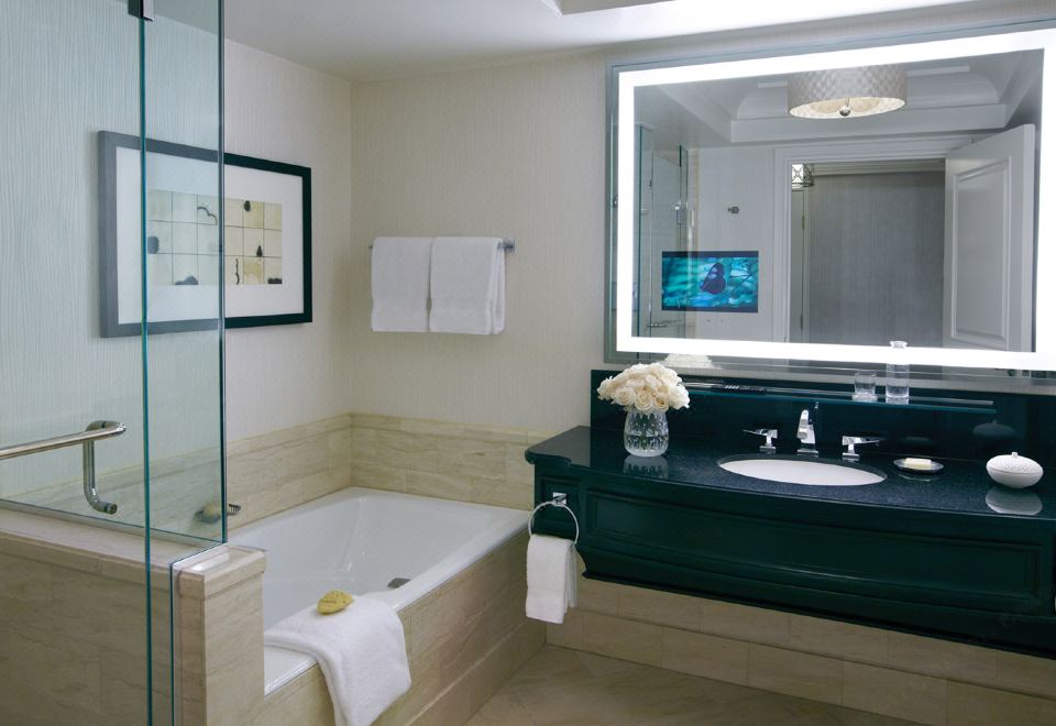 大道景單臥室套房