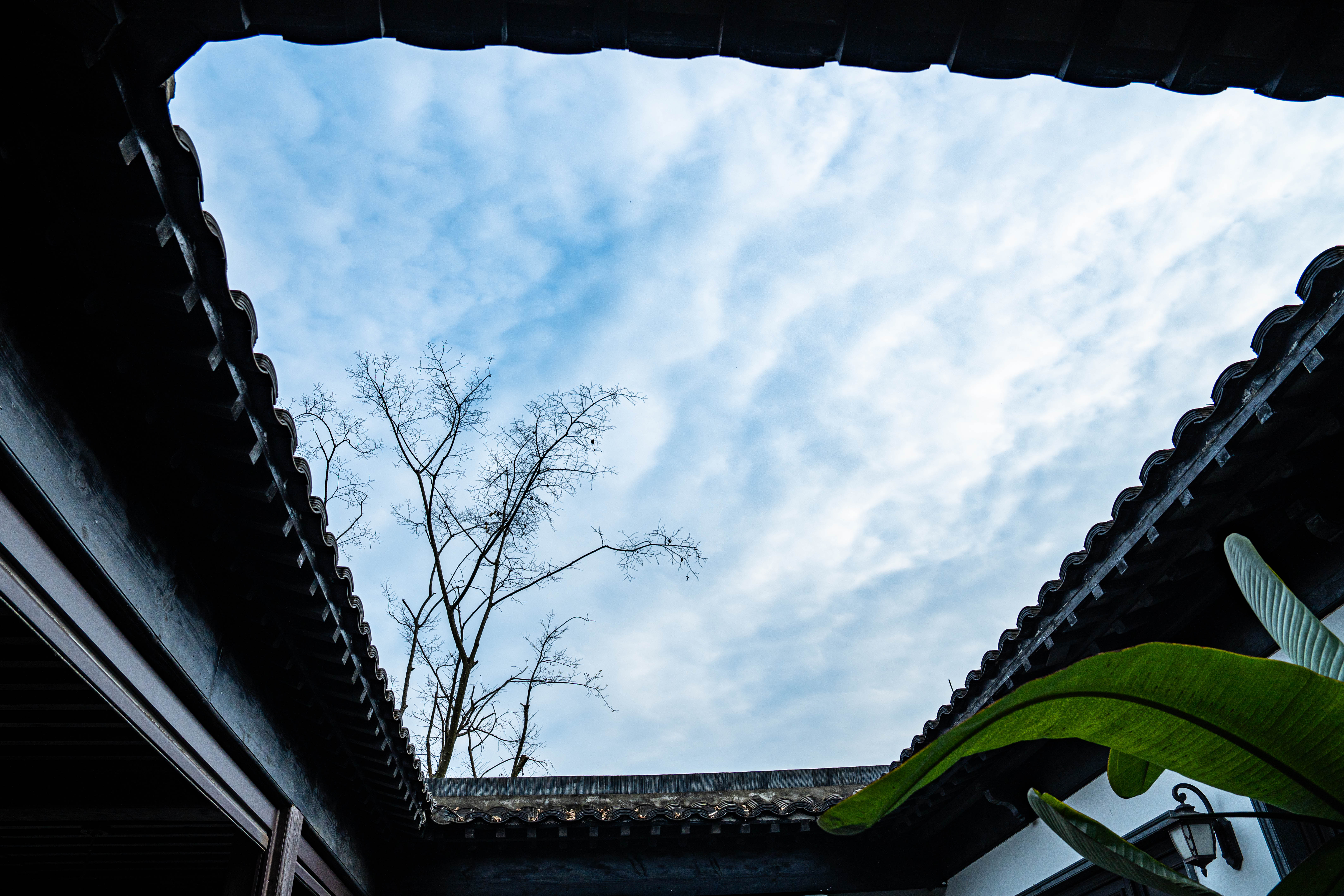 三房三衞·闲坐间·新中式商务大别墅