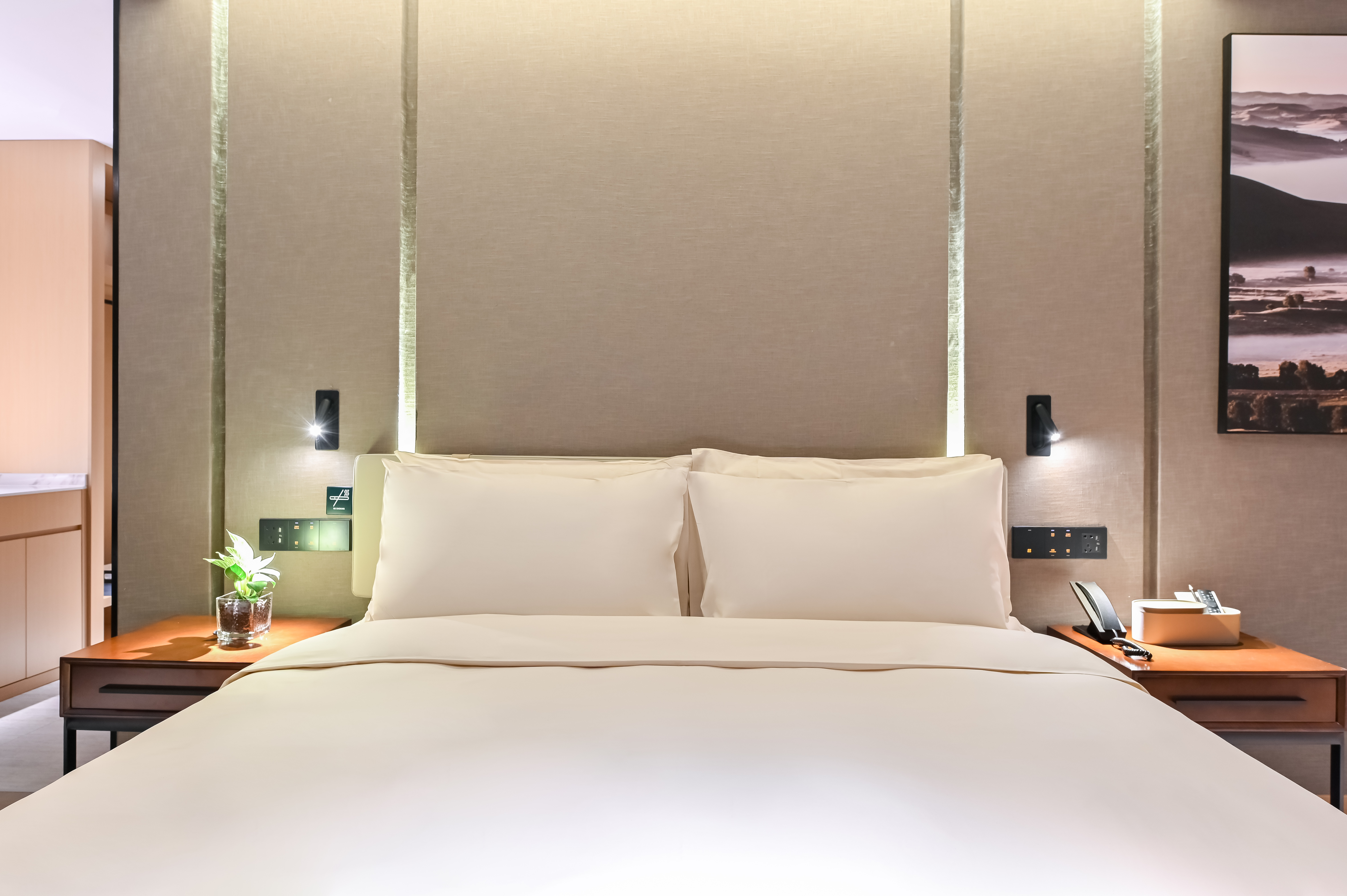 行政大床房（普兰特床垫+裸棉床品+亚朵记忆枕+手机投屏）